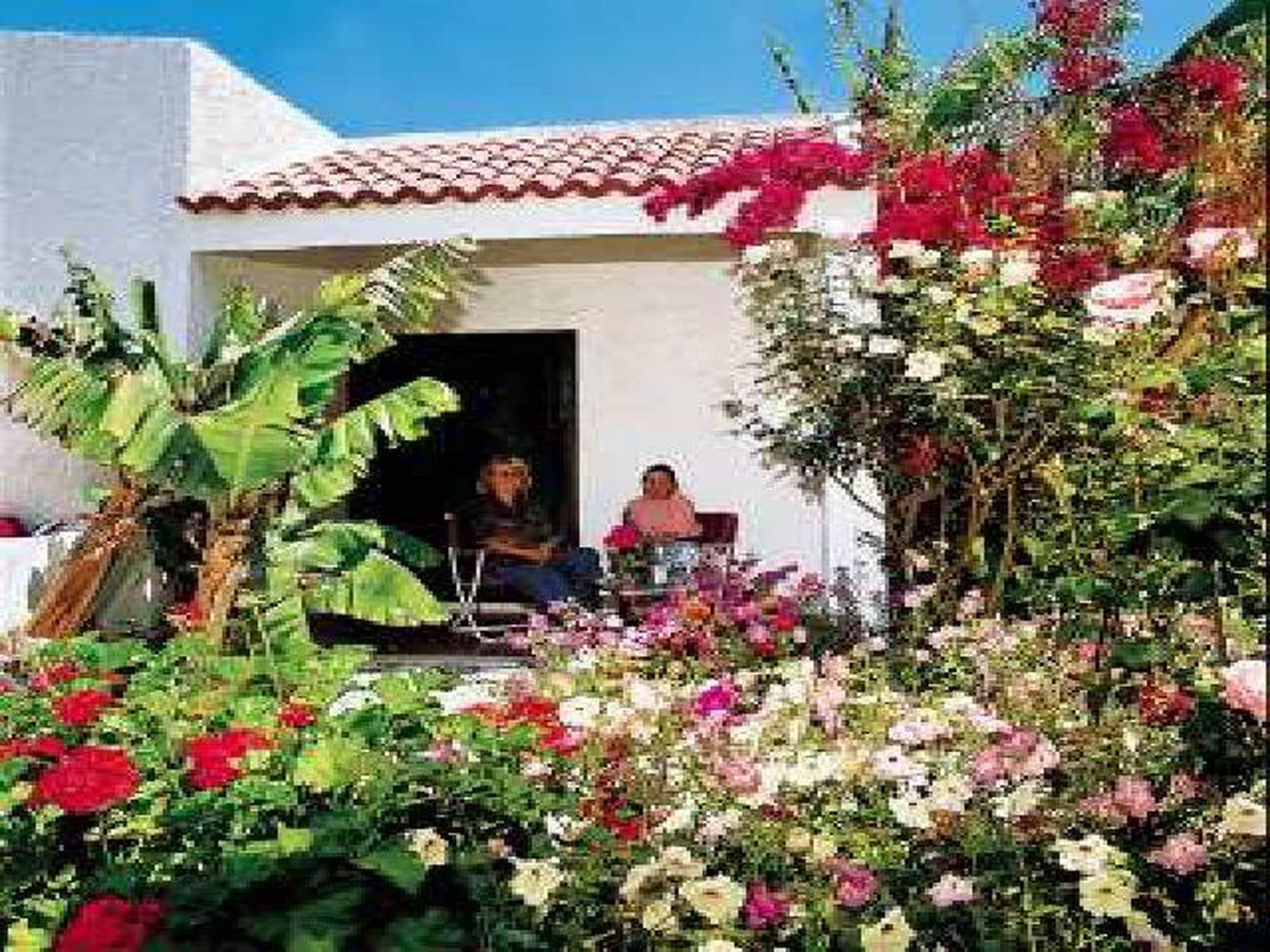 Oasis Rhodes- Afandou