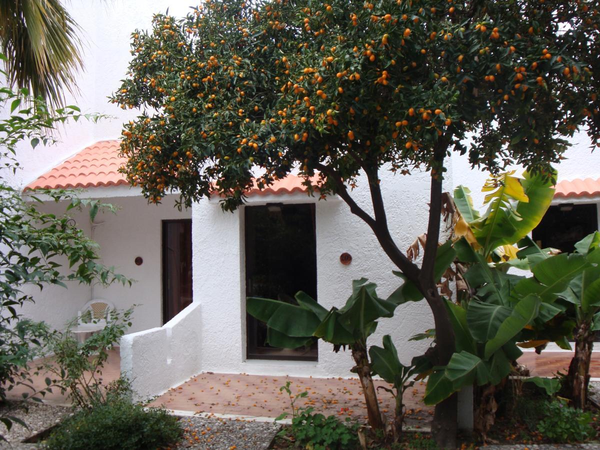 Oasis Rhodes- Afandou