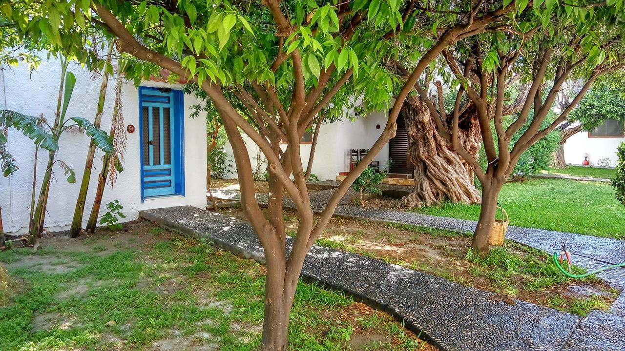 Hotel Oasis Rhodes- Afandou